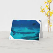 Haaien Kaart (Gele Bloem)