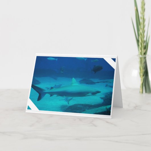 Haaien Kaart (Voorkant)
