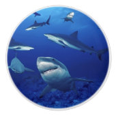 Haaien Keramisch kasteknop Keramische Knop (Voorkant)