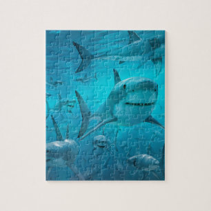 Haaien Legpuzzel