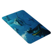 Haaien Magneet (Rechterzijde)