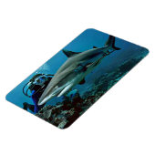 Haaien Magneet (Linkerzijde)