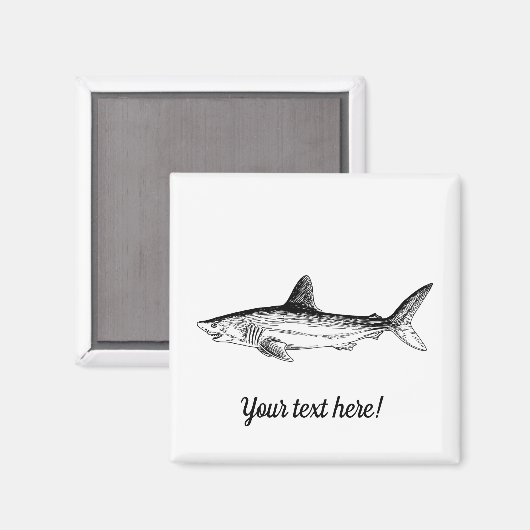 Haaien Magneet (Voorkant / Achterkant)