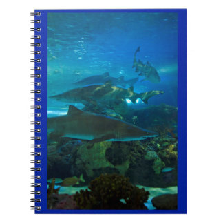Haaien met aquarium voor vissen notitieboek