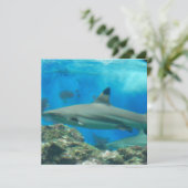 Haaien met riffen kaart (Staand voorkant)