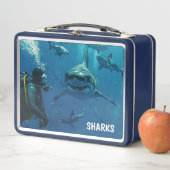 Haaien Metalen Lunchbox (In situ)