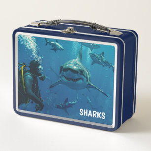Haaien Metalen Lunchbox