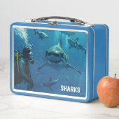 Haaien Metalen Lunchbox (In situ)