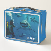 Haaien Metalen Lunchbox (Voorkant)