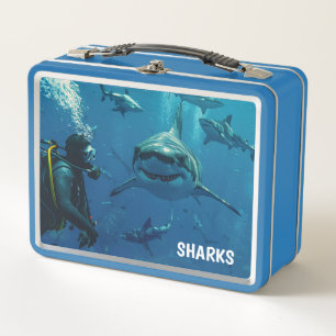 Haaien Metalen Lunchbox