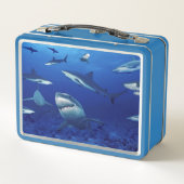 Haaien Metalen Lunchbox (Achterkant)