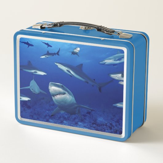 Haaien Metalen Lunchbox (Achterkant)