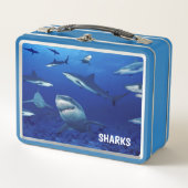 Haaien Metalen Lunchbox (Voorkant)