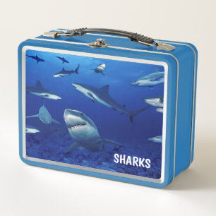 Haaien Metalen Lunchbox