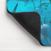 Haaien Muismat (Hoek)