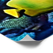 Haaien Oceaan Roofdier Kunst Poster (Hoek)