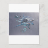 Haaien op Bay Briefkaart (Voorkant)