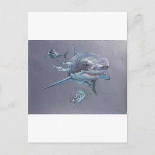 Haaien op Bay Briefkaart (Voorkant)