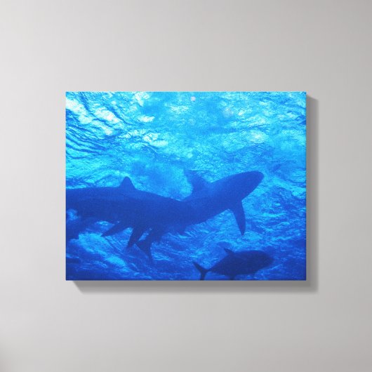 Haaien op de blauwe haard canvas afdruk (Voorkant)