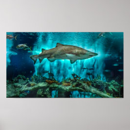 Haaien op de Prowl Poster