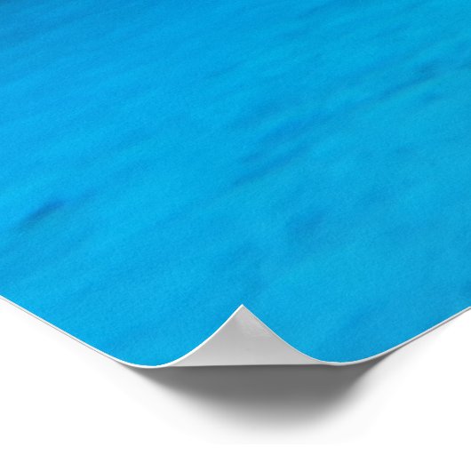 Haaien Poster (Hoek)