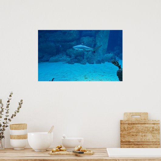 Haaien Poster (Keuken)