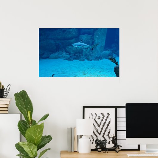 Haaien Poster (Thuiskantoor)