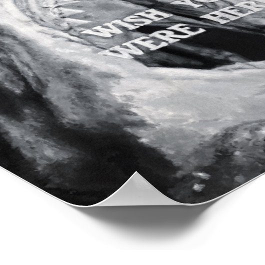 Haaien Poster (Hoek)