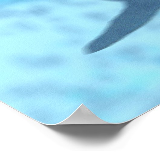 Haaien Poster (Hoek)