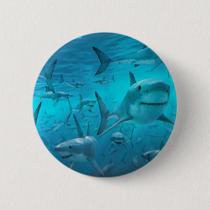 Haaien Ronde Button 5,7 Cm