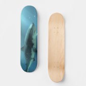 Haaien Skateboard (Voorkant)