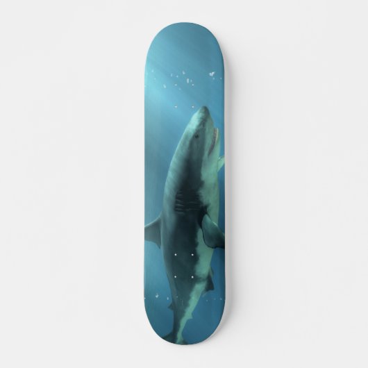 Haaien Skateboard (Voorkant)