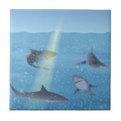 Haaien Tegeltje (Voorkant)