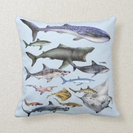 Haaien van de wereld kussen