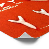 Haaien van Florida Poster (Hoek)