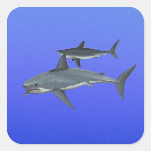 Haaien Vierkante Sticker (Voorkant)