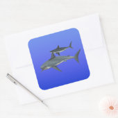 Haaien Vierkante Sticker (Envelop)