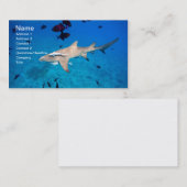 Haaien Visitekaartje (Voorkant / Achterkant)