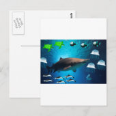 Haaien Visschildpadden Dolphins Tropisch Ocean Wat Briefkaart (Voorkant / Achterkant)