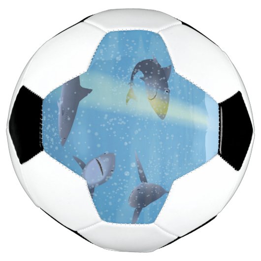 Haaien Voetbal (Gedraaid)