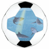 Haaien Voetbal (Voorkant)