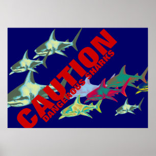 haaien, voorzichtigheid, gevaarlijk poster