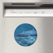 Haaien zwemmen in de oceaan Foto Magnet (Insitu (Vaatwasser))