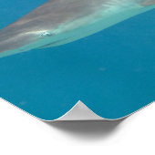 Haaien zwemmen onder water poster (Hoek)