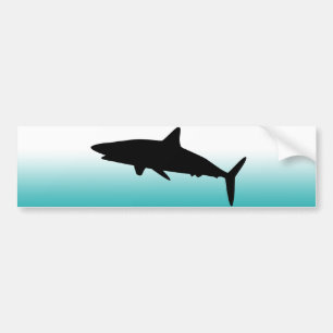 haaienbumper sticker
