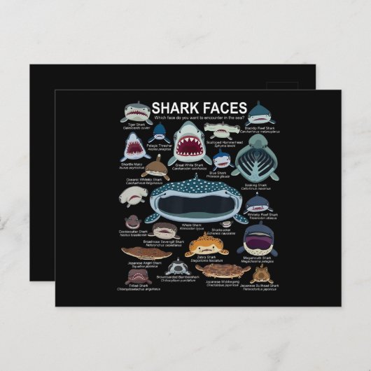 haaiengezichten die u wilt ontmoeten aankondigingskaart (Voorkant / Achterkant)