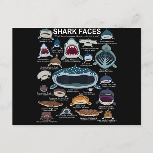haaiengezichten die u wilt ontmoeten feestdagenkaart (Voorkant)