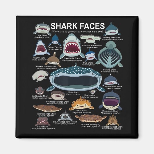 haaiengezichten die u wilt ontmoeten magneet (Voorkant)