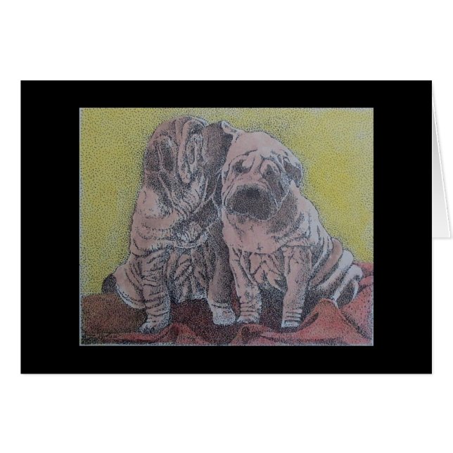 haaienjongen (Voorkant Horizontaal)