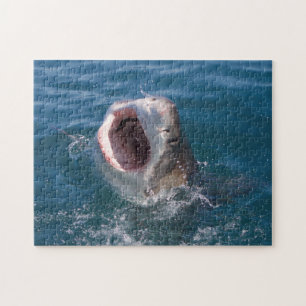 Haaienpuzzel Legpuzzel